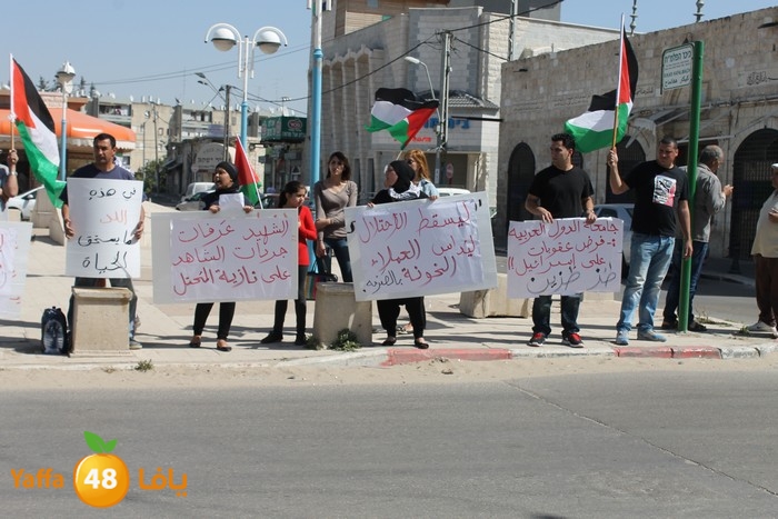 waqfaludn329 (21).jpg